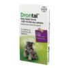 Drontal Plus For Dogs Bone Shaped 6 Pack 2 Drontal Plus For Dogs Bone Shaped 6 Pack -Outlet Dog Feedly Store 0003259 drontal plus for dogs bone shaped 6 pack 600
