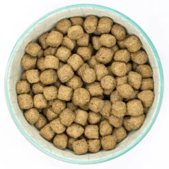 Burns Dog - Adult & Senior Weight Control Chicken & Oats 6kg -Outlet Dog Feedly Store 0021891 burns dog adult senior weight control chicken oats 6kg