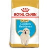 Royal Canin Dog - Golden Retriever Puppy 3kg -Outlet Dog Feedly Store 0022110 royal canin dog golden retriever puppy 3kg