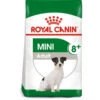 Royal Canin Dog - Mini Adult 8+ 2kg -Outlet Dog Feedly Store 0022153 royal canin dog mini adult 8 2kg