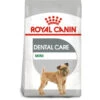 Royal Canin Dog - Mini Dental Care 3kg