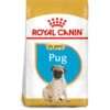 Royal Canin Dog - Pug Puppy 1.5kg -Outlet Dog Feedly Store 0022187 royal canin dog pug puppy 15kg
