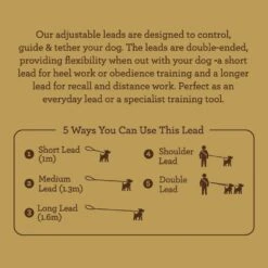 Great&Small Great & Small Country Adjustable Lead Forest Green 2.3m -Outlet Dog Feedly Store 0025650 great small country adjustable lead forest green 23m