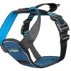 Company Of Animals CarSafe Crash Tested Harness Large 2 Company Of Animals CarSafe Crash Tested Harness Large -Outlet Dog Feedly Store 0027573 company of animals carsafe crash tested harness large 600