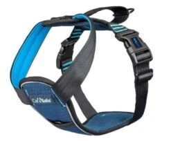 Company Of Animals CarSafe Crash Tested Harness Small