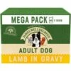 James Wellbeloved Dog - Adult Lamb Mega Pack Pouches 40x150g 2 James Wellbeloved Dog - Adult Lamb Mega Pack Pouches 40x150g -Outlet Dog Feedly Store 0028922 james wellbeloved dog adult lamb mega pack pouches 40x150g 600